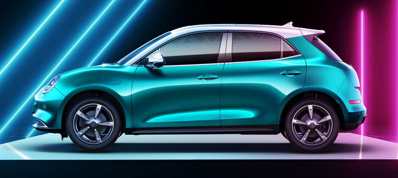 长城取名的路子越来越野了白猫黑猫又来一只好猫