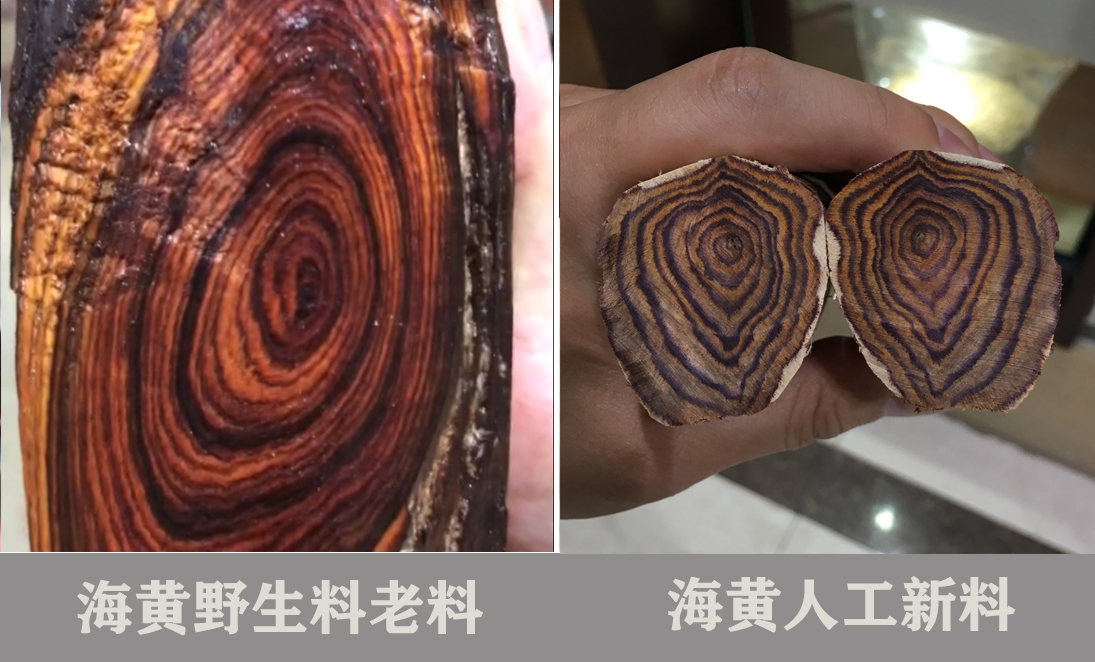 学会这三招,轻松区分海南黄花梨糠梨老料与新料,再不多花一分钱__凤凰网