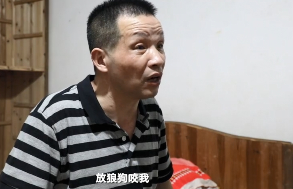 破案只需一條狼狗追責難道不需狼狗