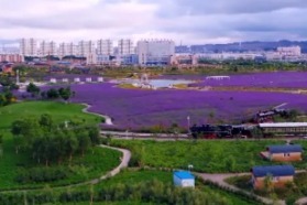 昨日镍都，今日花城！