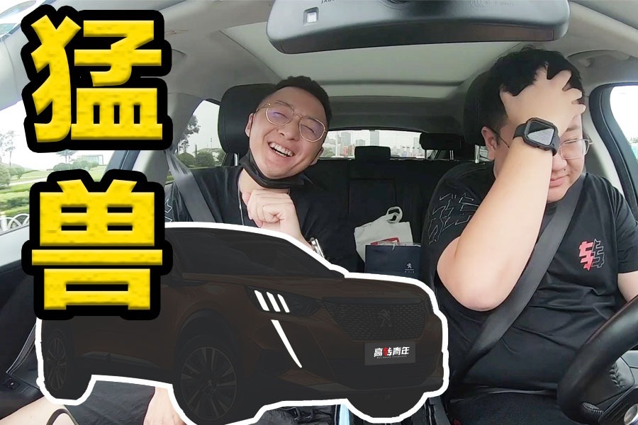 买“牛马”算啥！花十多万买“狮子” 不香吗？