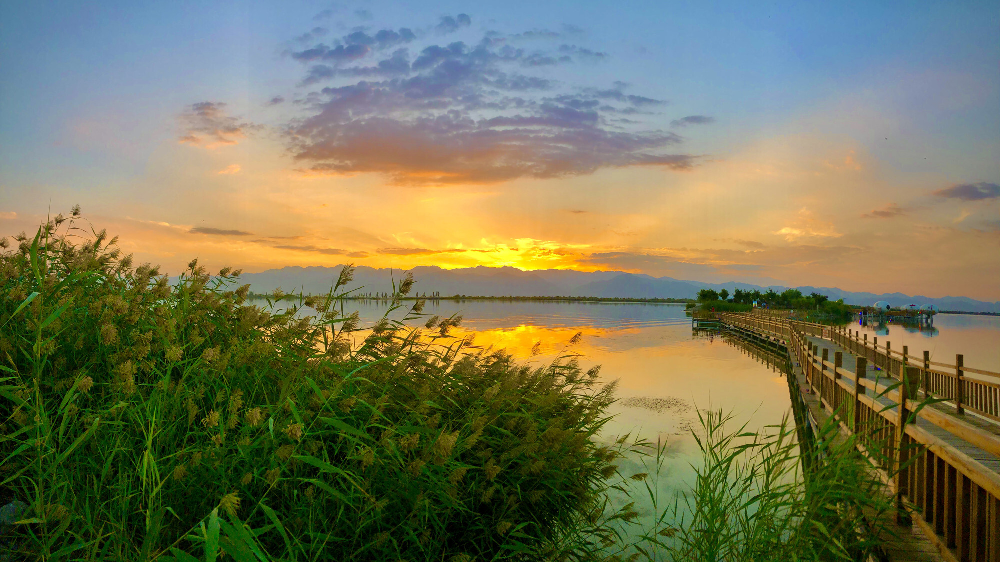 宁夏沙湖旅游度假区又添新头衔,这里的美景藏不住了!