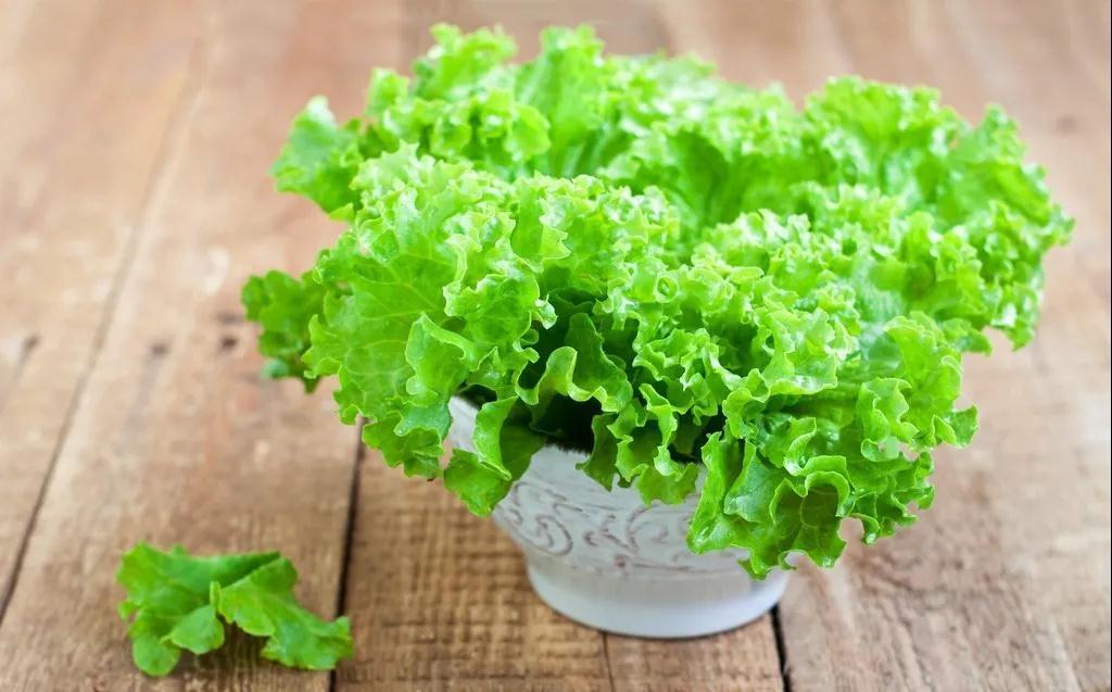 倩狐减肥的低热量蔬菜排行榜刮油消脂一天瘦一斤