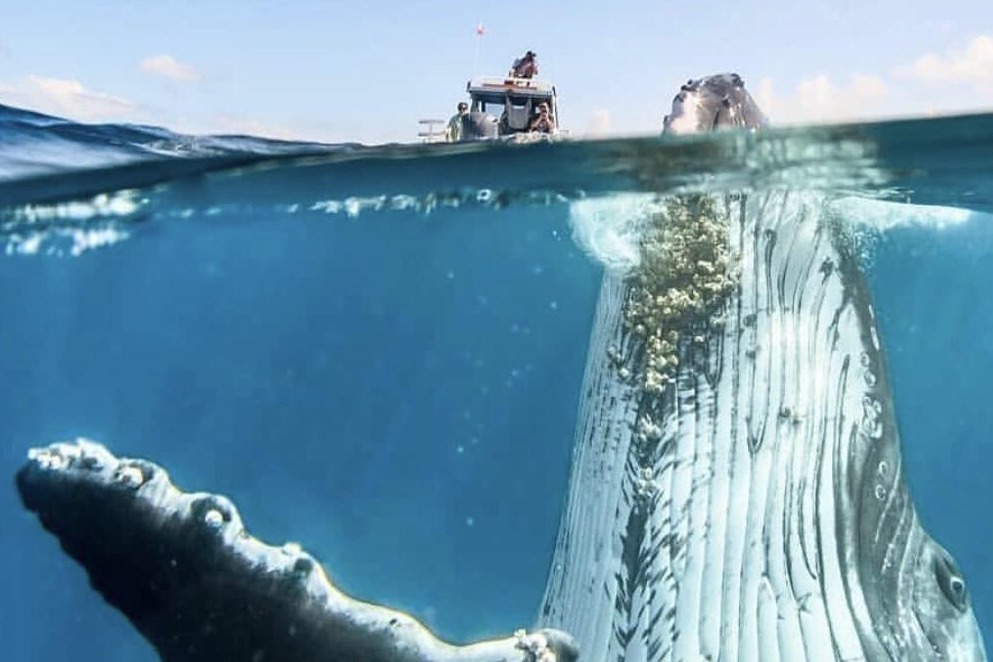 命悬一线！三少年寻刺激大海涨潮戏水 镜头记录全过程