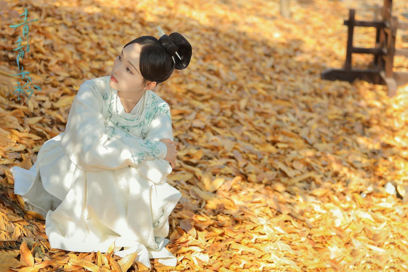 今日,由徐飞执导,范世錡,吕小雨领衔主演的古装励志校园剧《青青子衿