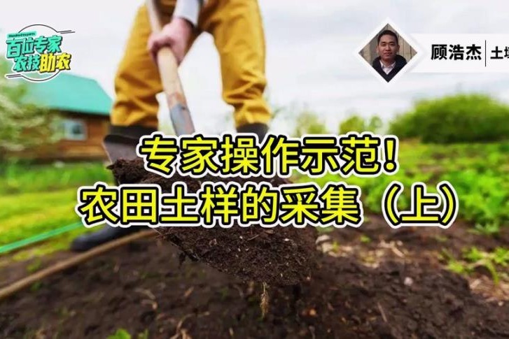 如何进行有效的土壤采集？专家操作示范
