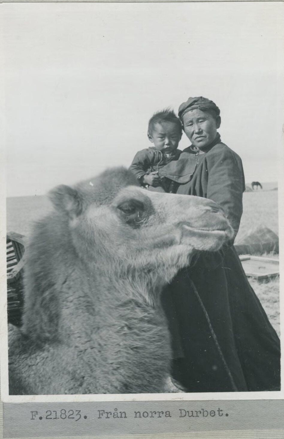 你从未见过的真实历史影像.1914-1938年的远东