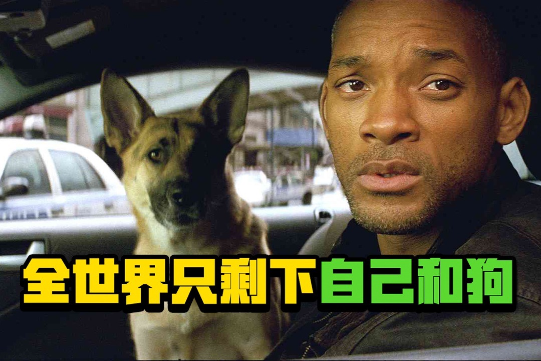 我是传奇当全世界只剩下你和狗你会怎么做