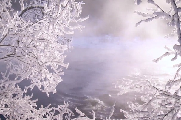 【魅力旅发 醉美黑河】黑河等你来丨雾淞沆砀 冰雪人间