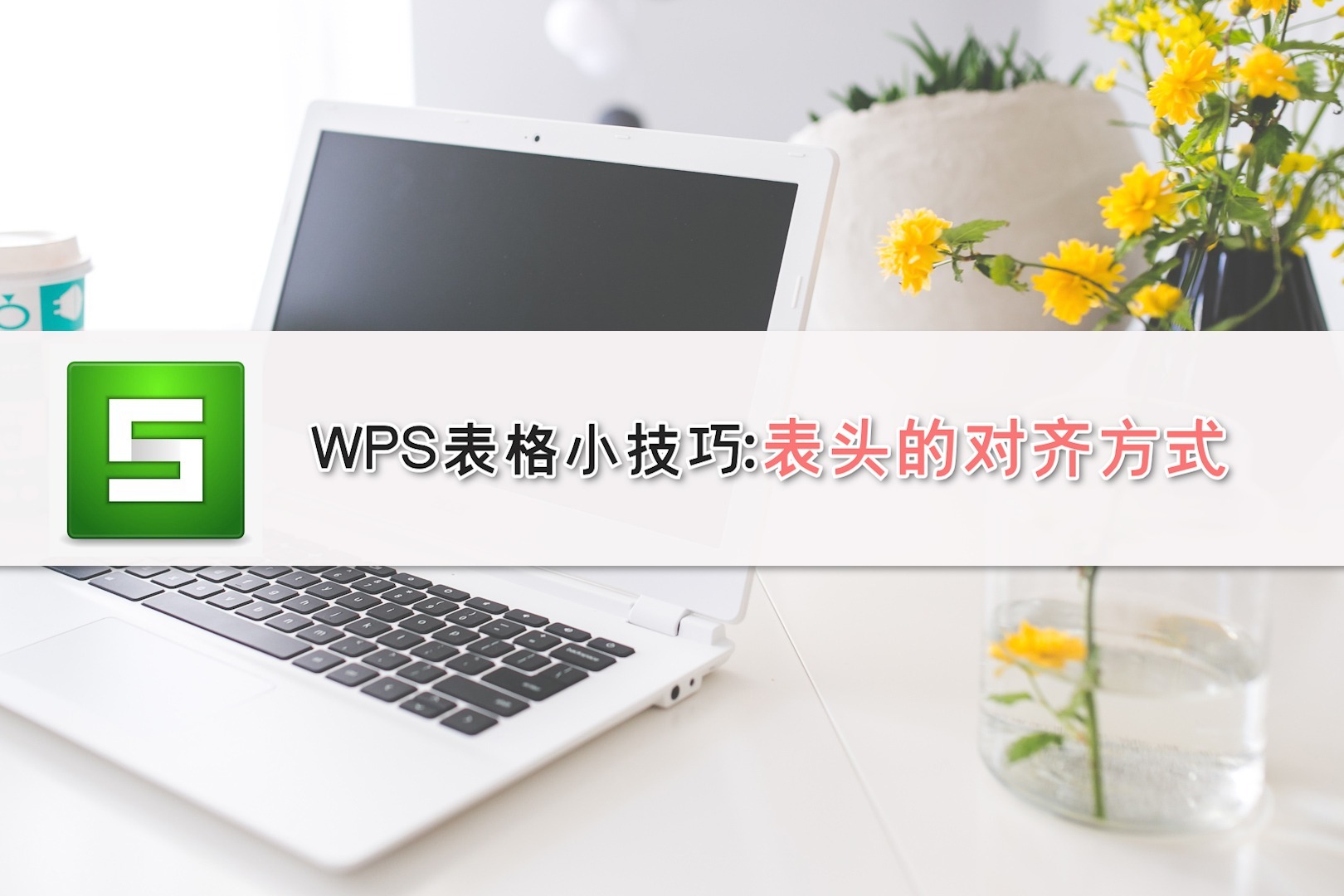 WPS表格小技巧：表头的对齐方式