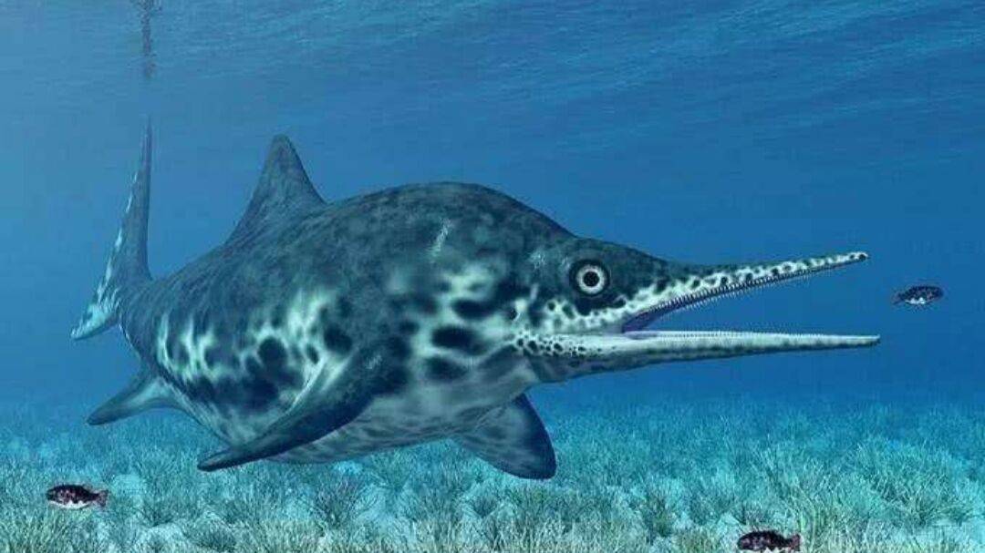 你吃过鱼,但你见过"鱼龙"吗?就在我国贵州,发现了一条鱼龙!__凤凰网