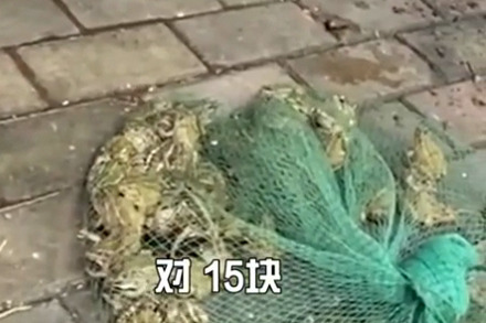 好了伤疤忘了疼？武汉市场公然卖野生青蛙
