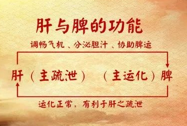 吕红彬分析偏头痛如何治疗?中医疏肝理气,清肝火,专治头痛症状