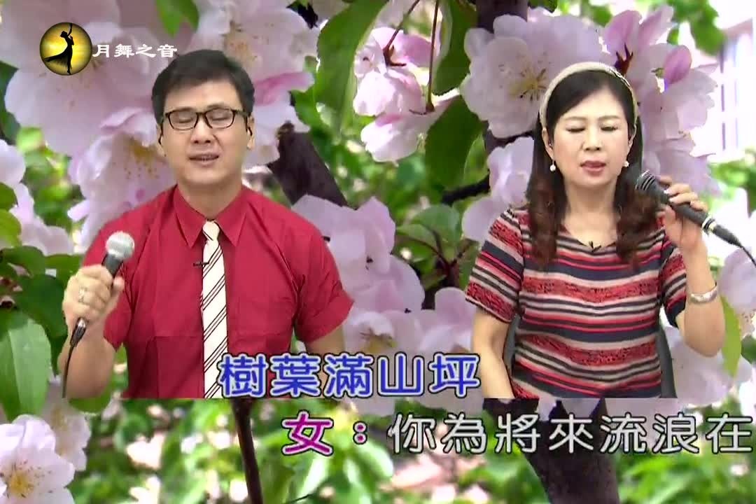 翻唱闽南歌曲 秋风落叶声