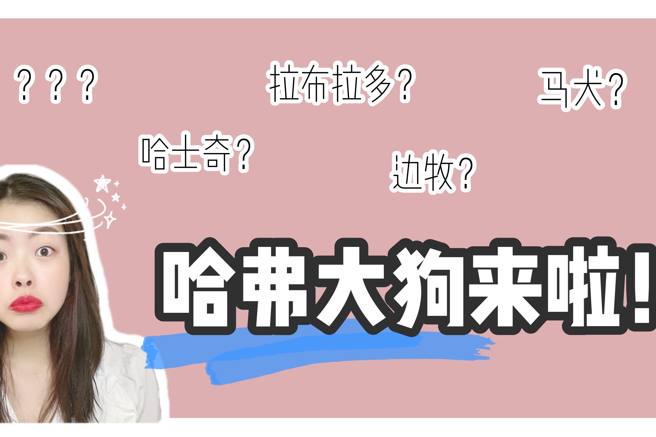 新车|哈弗大狗预售12.5万起，配四驱、差速锁，和神车H6共用底盘