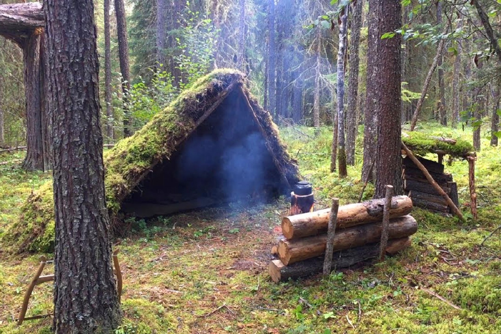丛林露营搭建实木庇护所,生堆篝火烹饪美食,享受一个人的悠闲