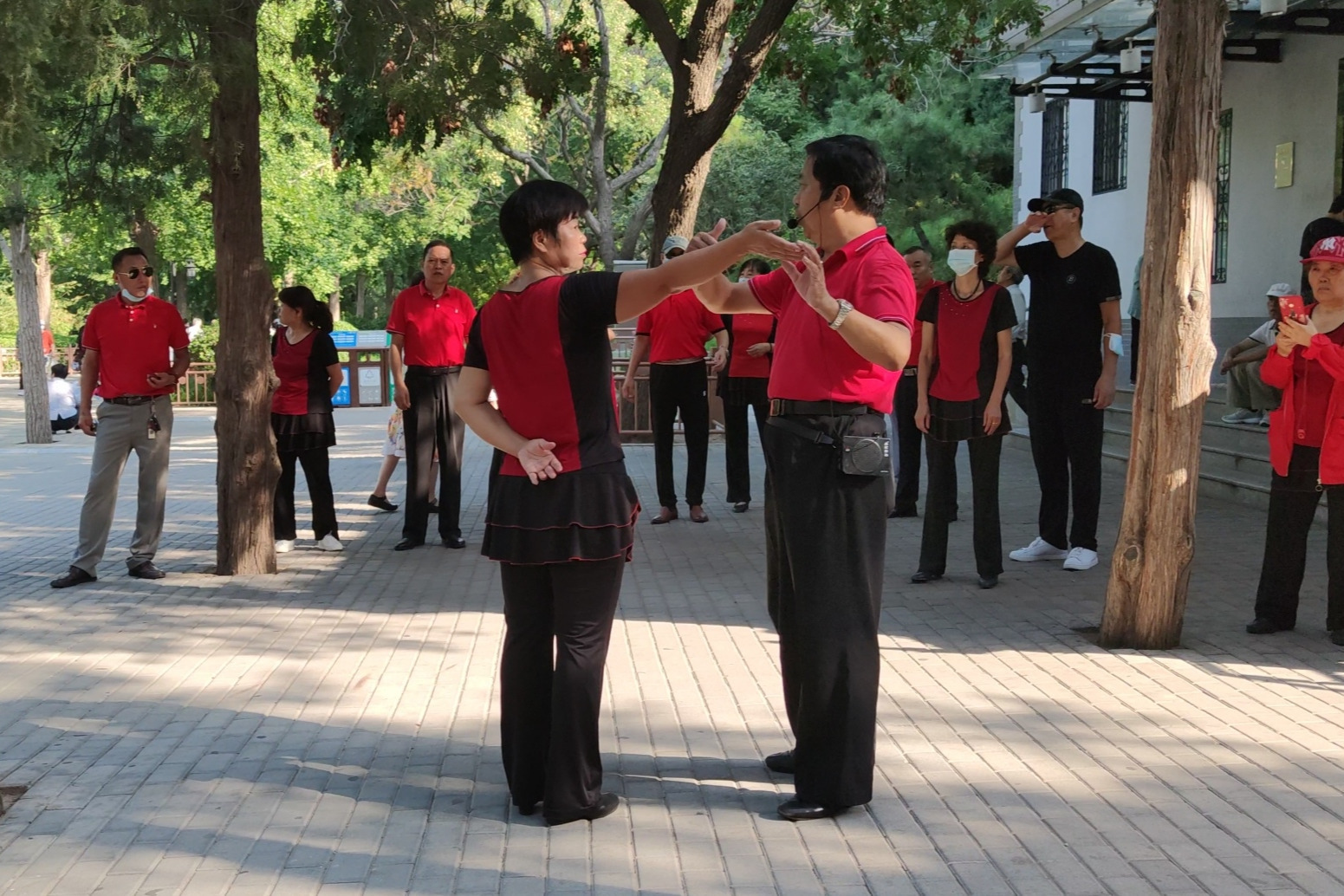 徐舞飞扬双人交谊舞，平四第一套第五节《橄榄步》分解教学