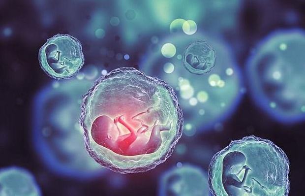 试管婴儿反复移植失败,血栓前状态了解一下__凤凰网