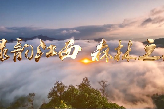 2020江西森林旅游宣传片 带你领略江西风景独好