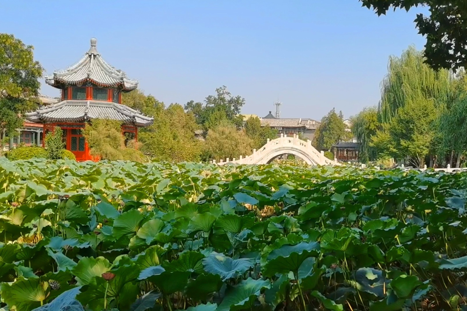 中国十大名园 “保定古莲花池”，楼阁碧水交织如画，尽托山水间
