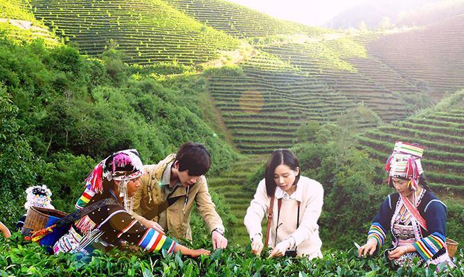 西双版纳博悦旅行社推荐去西双版纳旅游必做的事和必去景点推荐