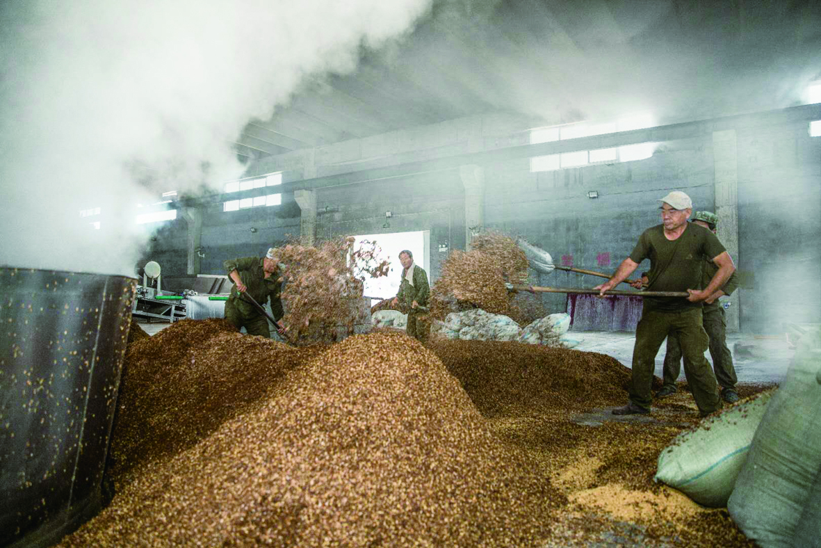 【品牌】张灿风:稳如泰山,纯粮酿造的践行者