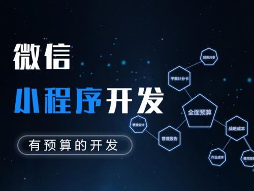 小程序开发运营维护(小程序开发运营维护工作内容)