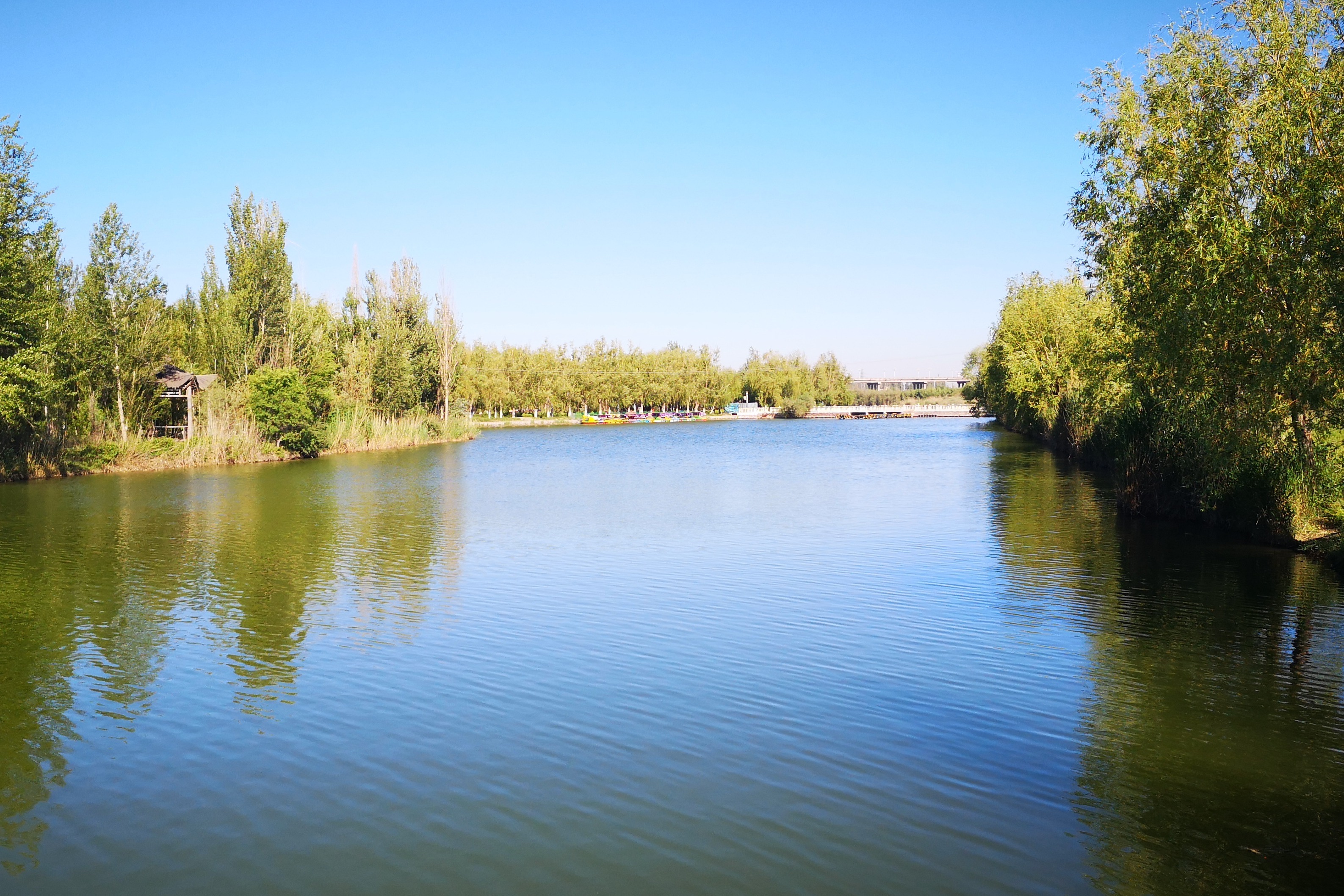 【携程攻略】伊宁市伊犁河景点,在伊宁遇到最美的风景就在伊犁河了，每天经过的人说多不多，说少也不…