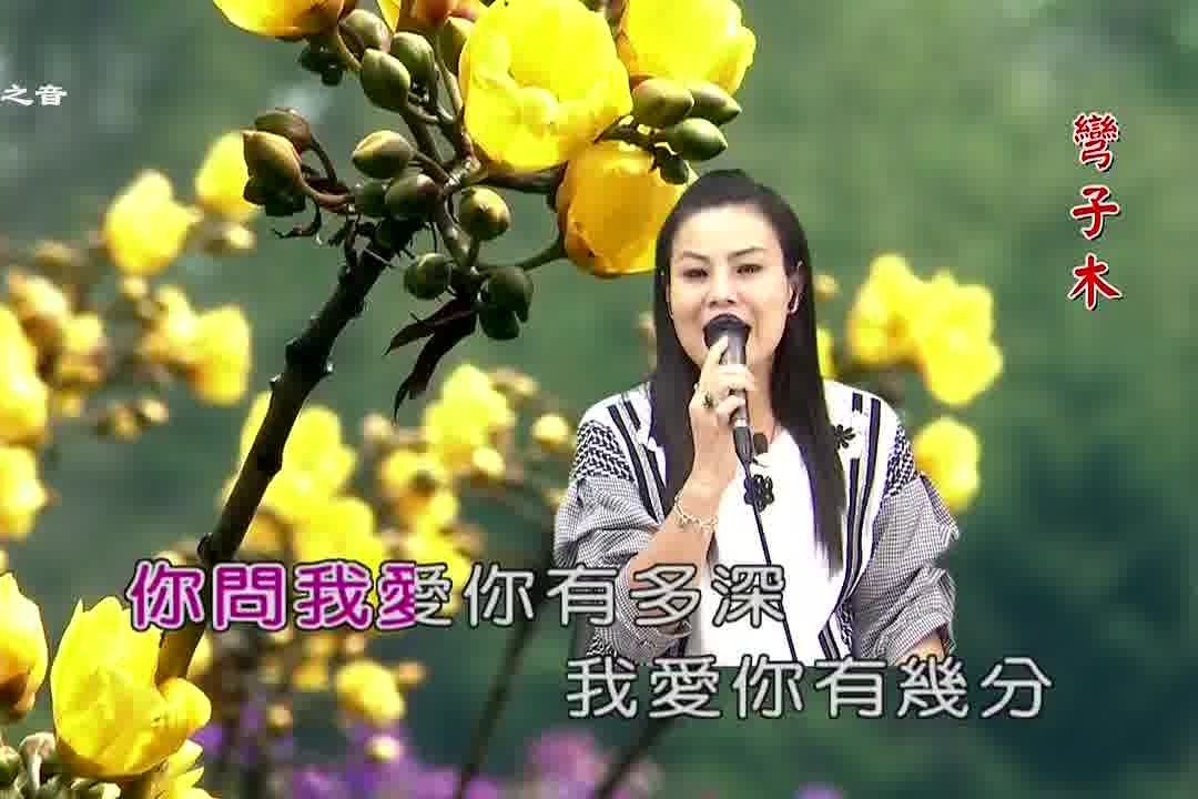 翻唱經典歌曲月亮代表我的心