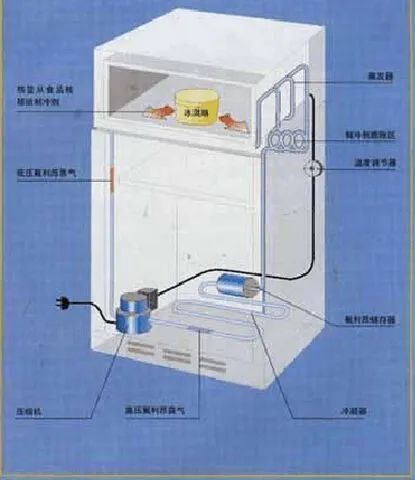 大凤凰制冷机故障代码(大凤凰制冷机故障代码s1)