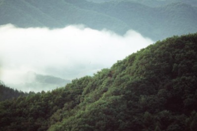 大米的产品种类有哪些？双丰鱼龙门大米介绍