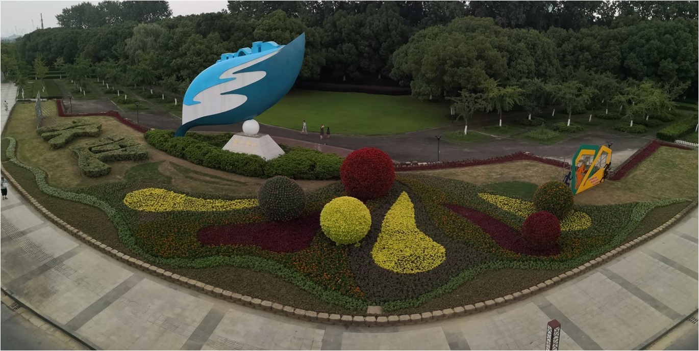 美啦美啦!滨湖区48个交通岛头披上"多彩花衣"