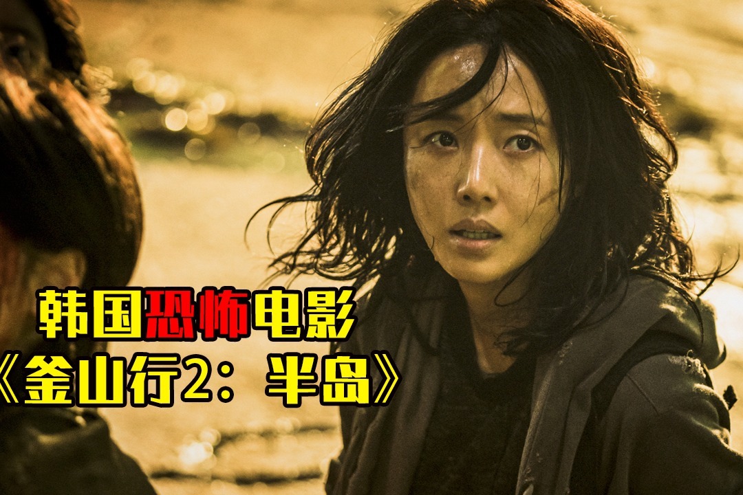 胆小者看的恐怖电影：几分钟看完韩国恐怖电影《釜山行2：半岛》