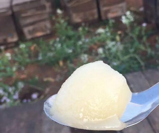 蜂蜜有什么作用和功效?蜂蜜的好处和功效