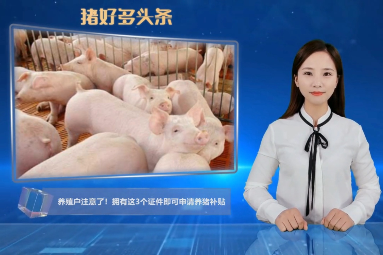 养殖户们注意了，想要领取养殖补贴，这3个证件少不了！