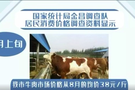 金昌：八月牛肉价格环比上涨5.26%