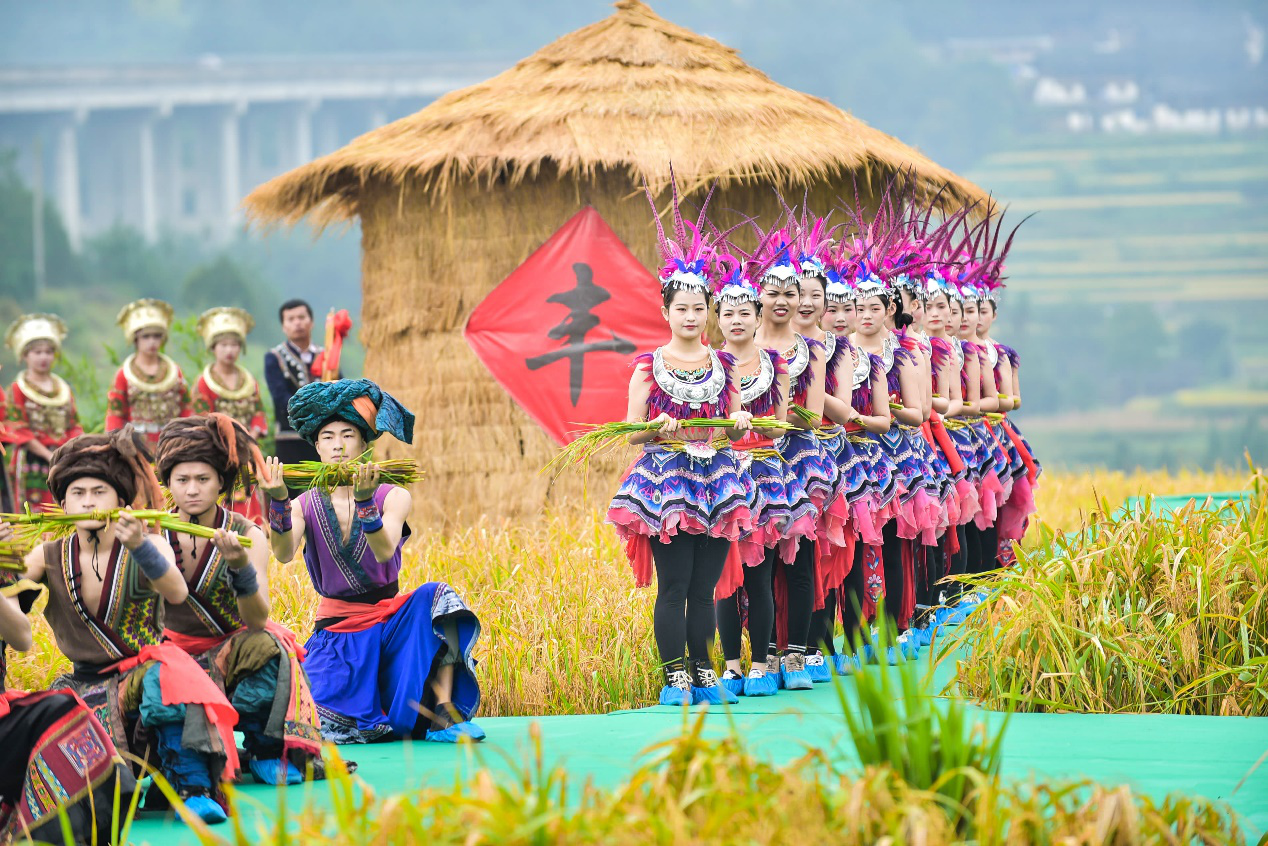 你笑起来真好看开镰庆丰收2020丹寨丰收节喜迎八方宾客