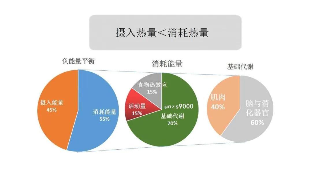 倩狐利用好基础代谢减肥法月瘦10斤很简单