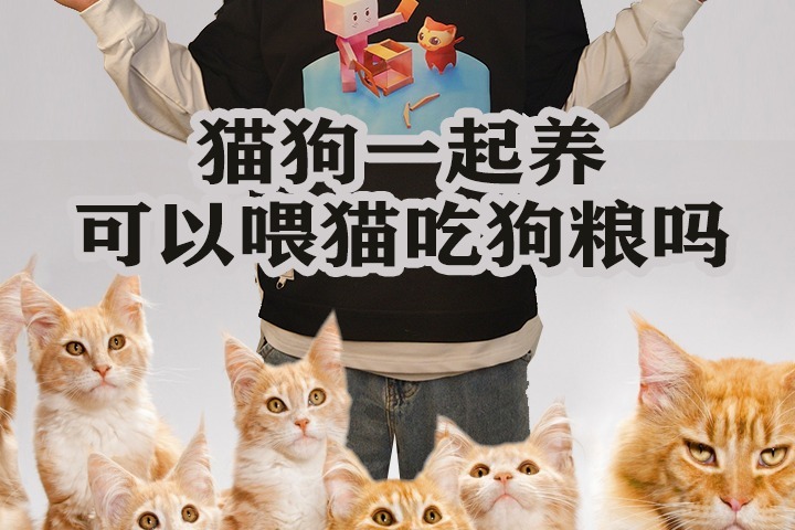 听喵哥给你摆（十三）可以喂猫吃狗粮吗？