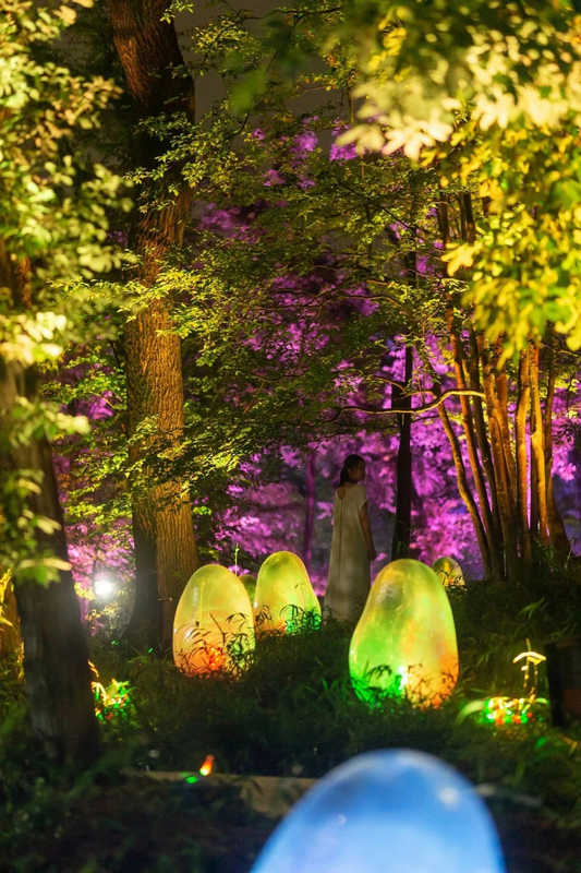 门票免费!石燕湖首届"夜光森林"梦幻光雕展盛大开启