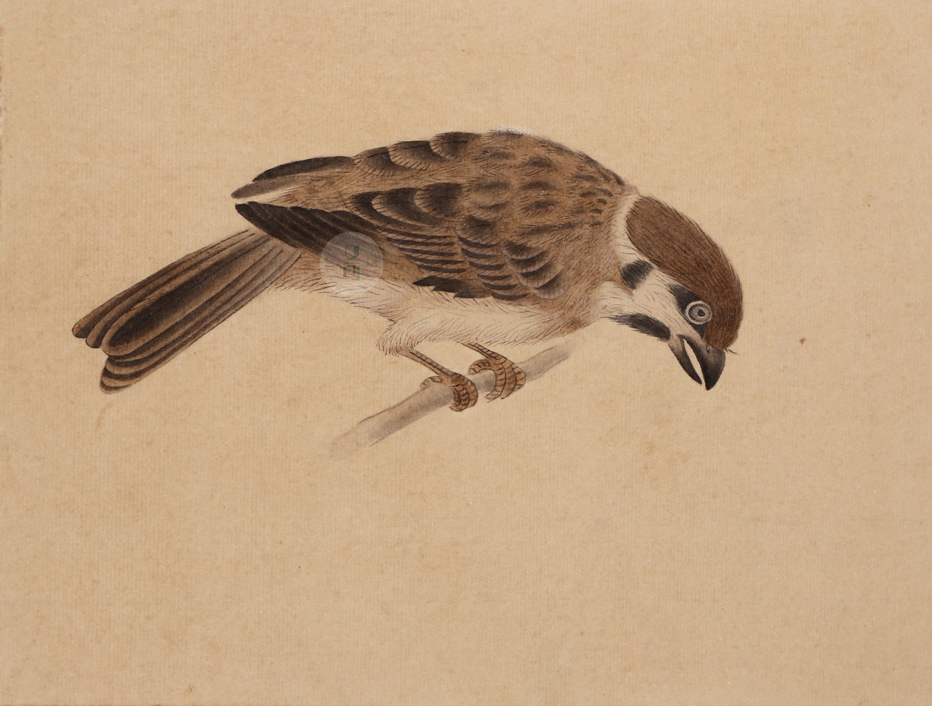 国画零基础入门 | 国画宣纸的种类,挑选及保养