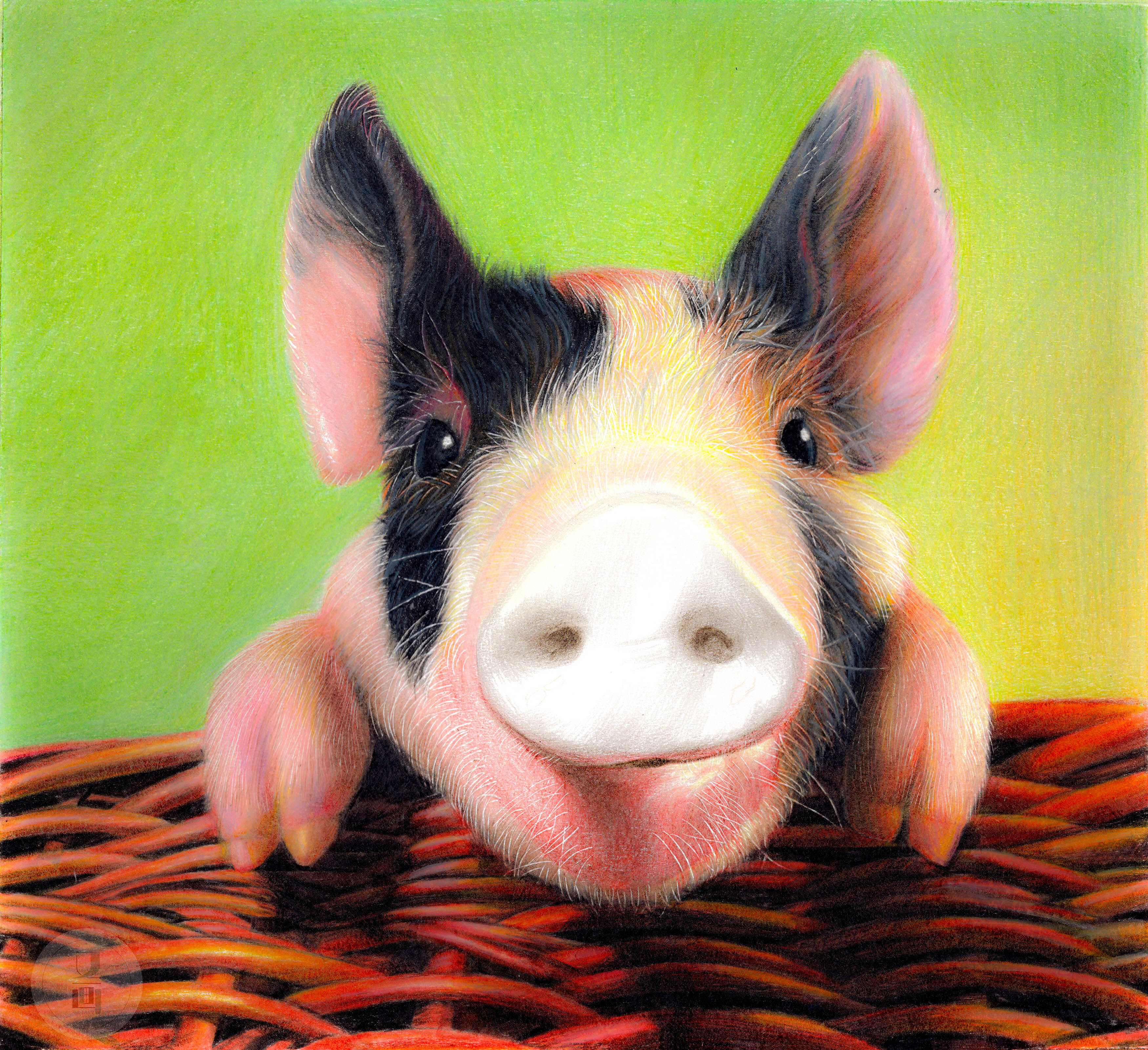 彩铅教程 | 画2019年的第一头猪