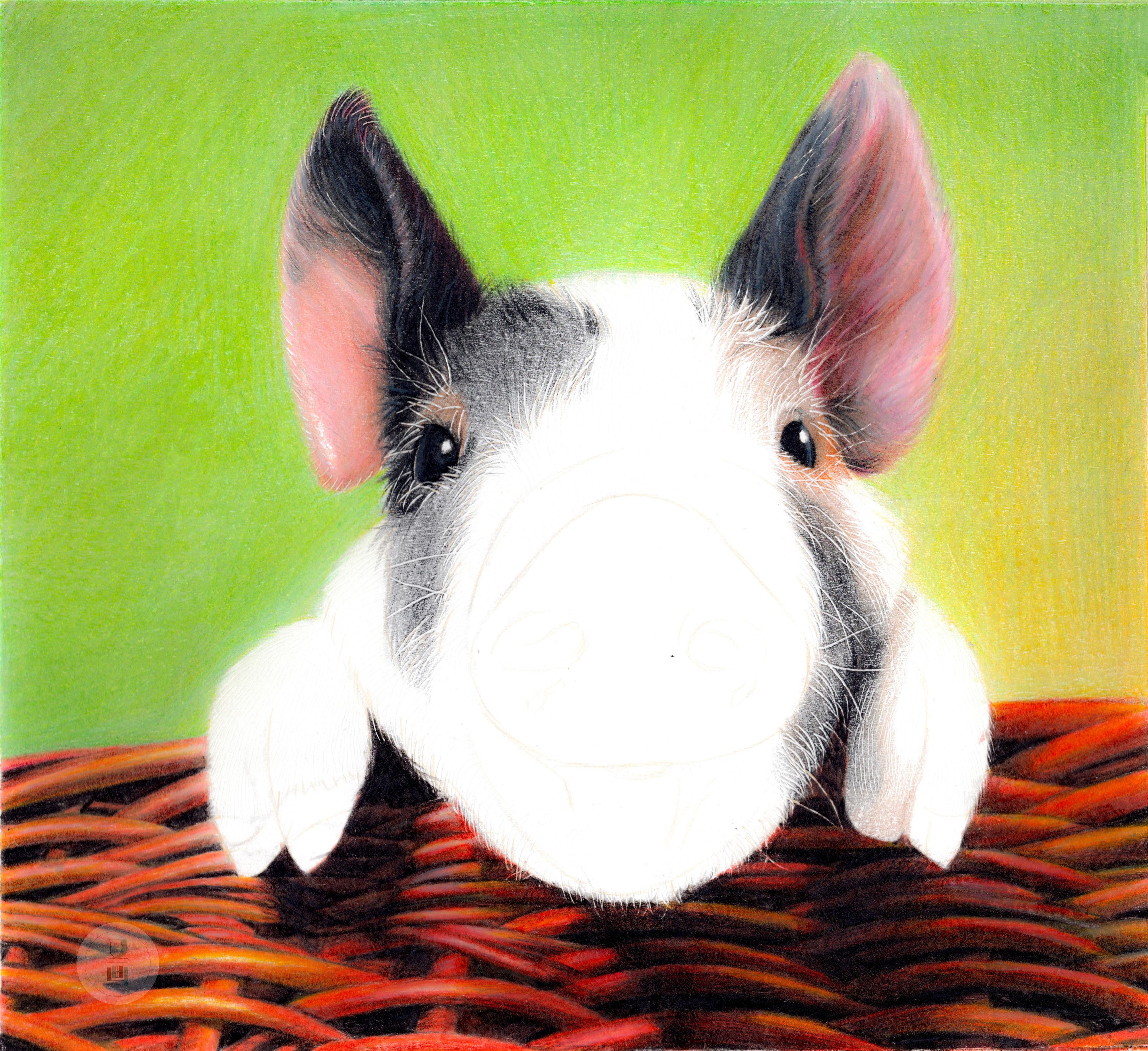 彩铅教程 | 画2019年的第一头猪