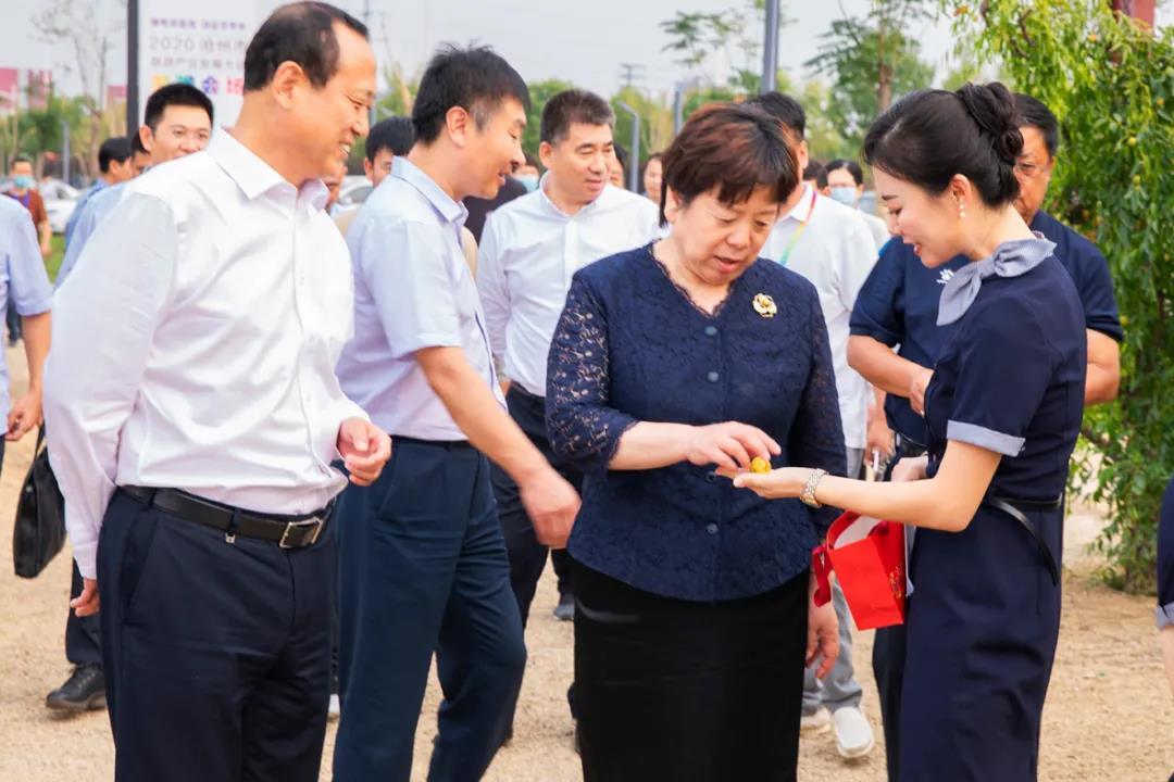 南排河镇歧口村作为本届旅发大会我市分会场的重要景区,设置了历史