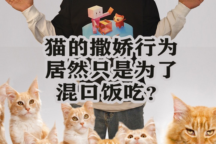 听喵哥摆（二十）猫的撒娇行为居然只是为了混口饭吃？