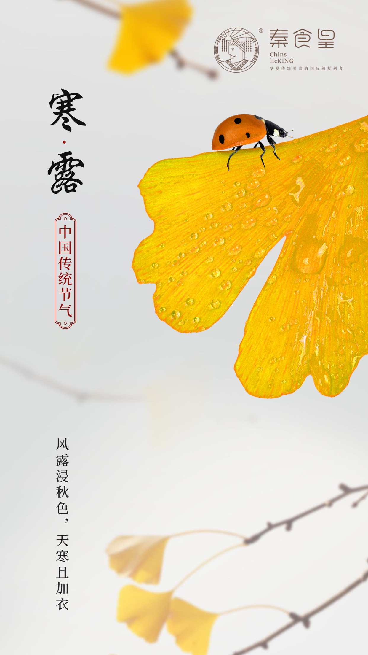 风露浸秋色,天寒且加衣__凤凰网