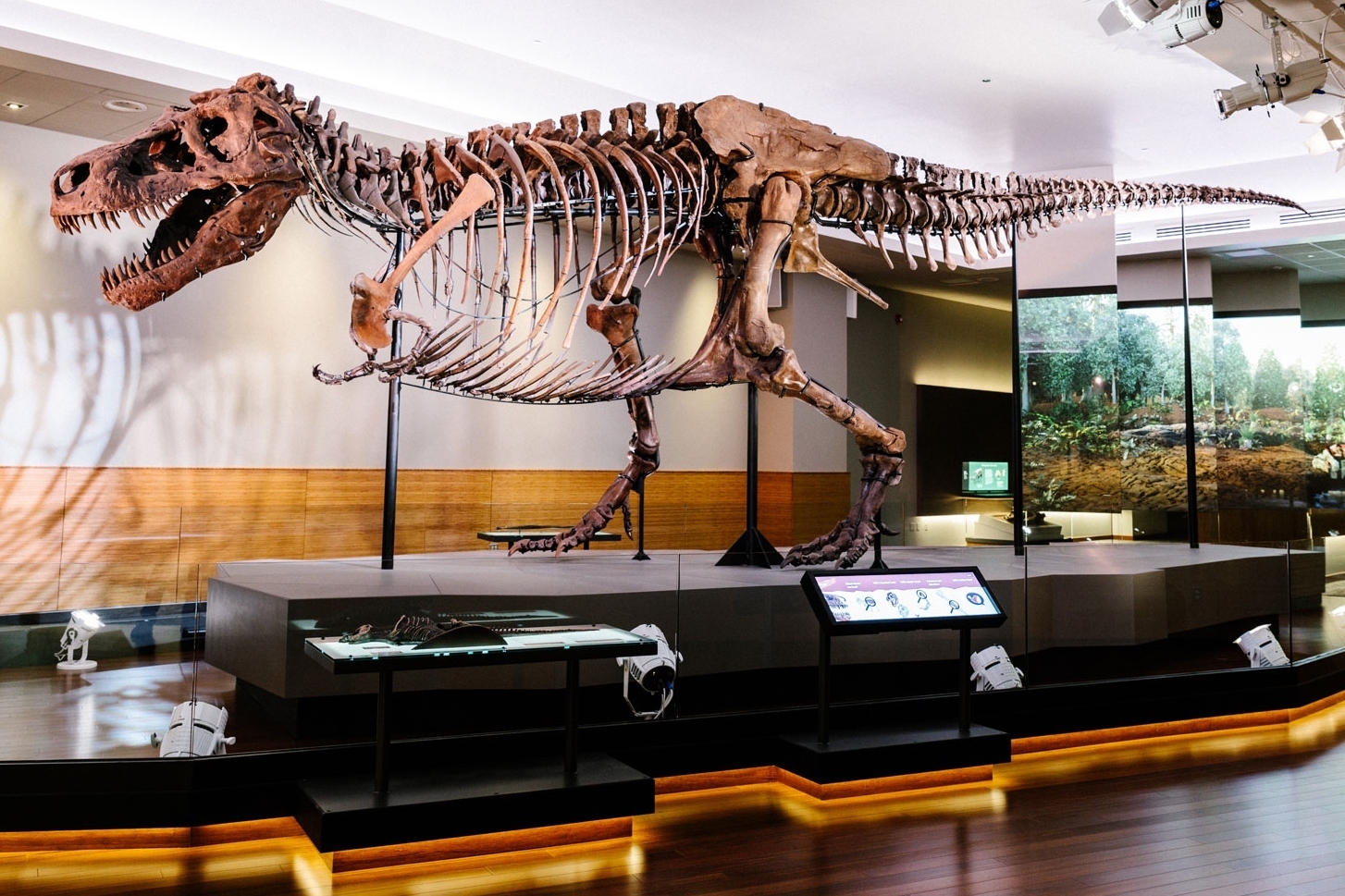 现存最完整的霸王龙化石被拍卖 成交价为3180万美元