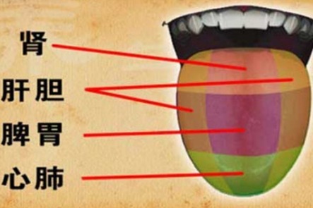 崇文門中方中醫院李燕:看舌頭就能知道自己是胃寒還是胃熱!