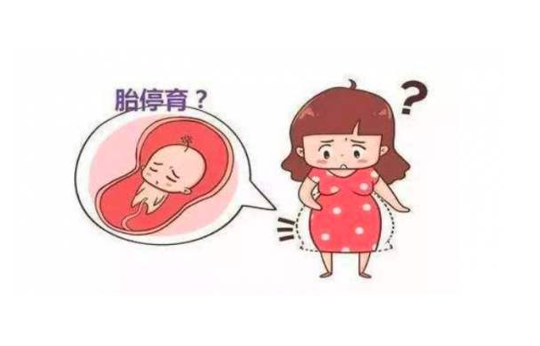 成都借卵机构（滔滔顾问：试管婴儿移植成功后如何预防胚胎停育）