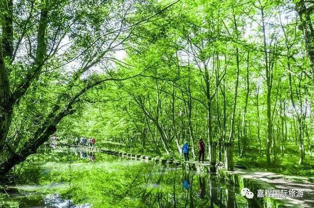 西溪南溼地公園位於黃山市徽州區西溪南鎮,其全名為黃山市西溪太平湖